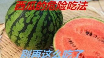 西瓜电影院,光影交织，畅享视听盛宴